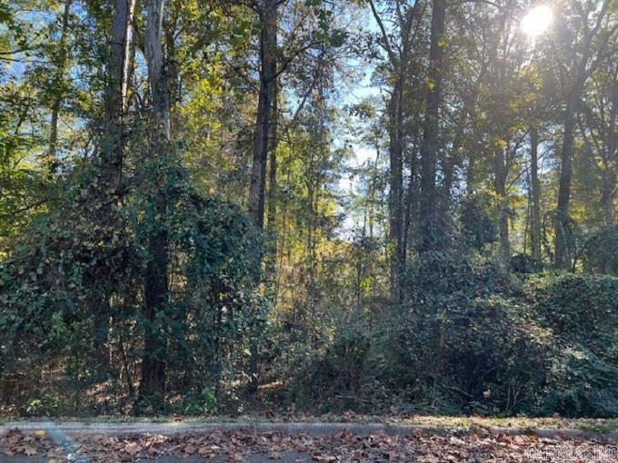 Property Photo:  Lot 14 Mockingbird Lane  AR 71701 