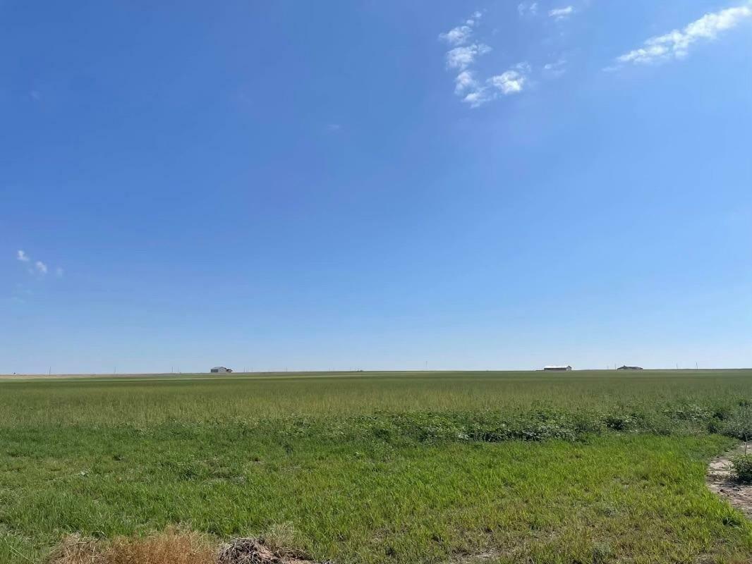 Property Photo:  21704 County Road 2140  TX 79423 