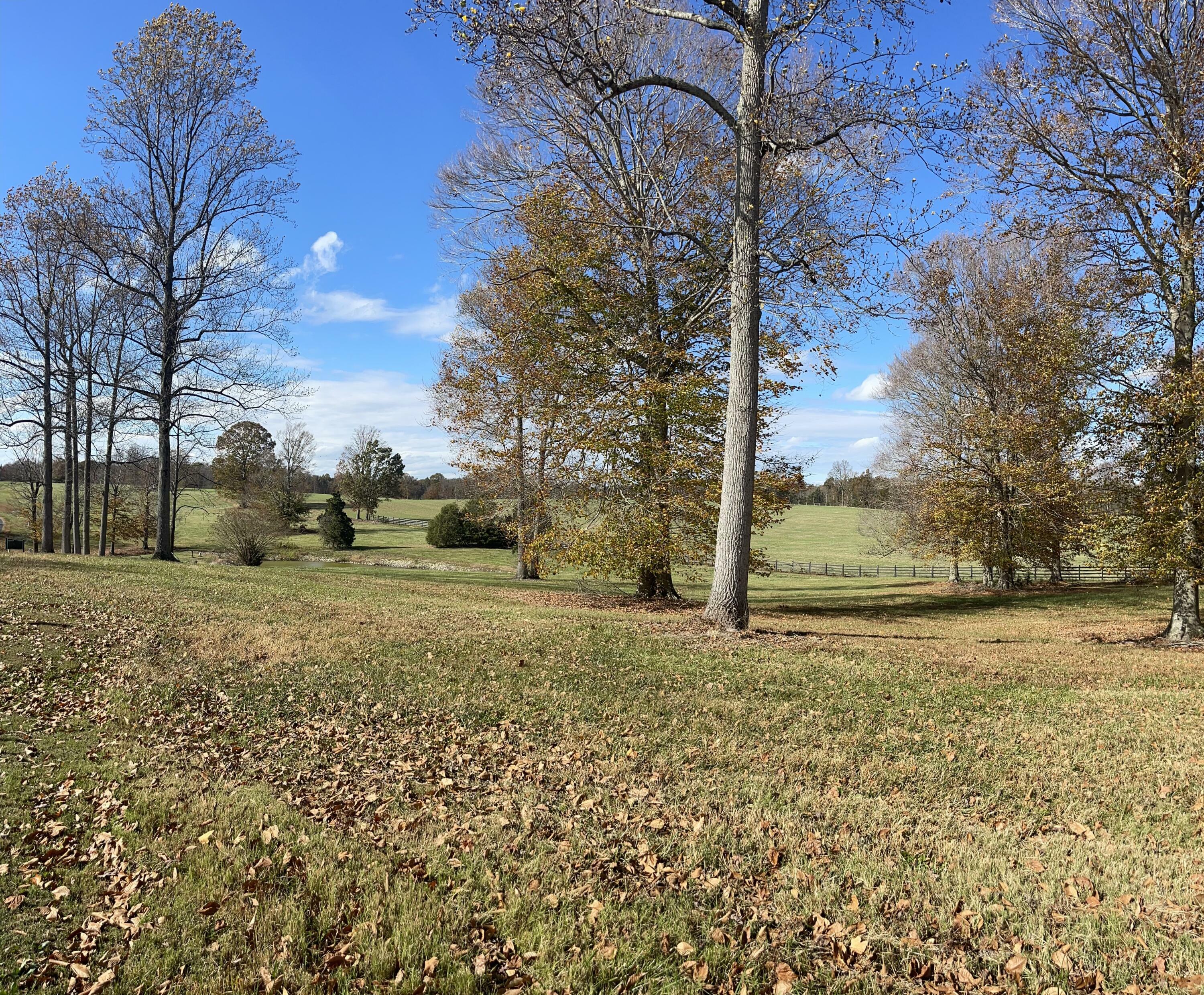 Property Photo:  Lot 221 Stillwater  KY 42642 