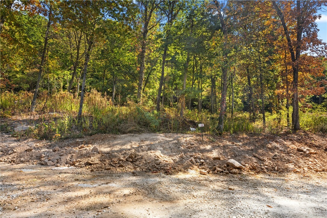 Property Photo:  Lot 5 Significance Summit  AR 72601 