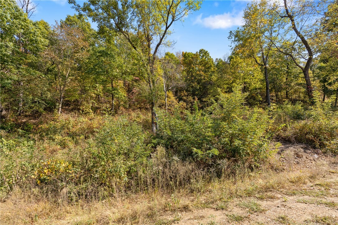 Property Photo:  Lot 7 Peaceful Place  AR 72601 