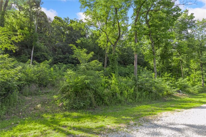 Property Photo: Lot 7 Peaceful Place AR 72601