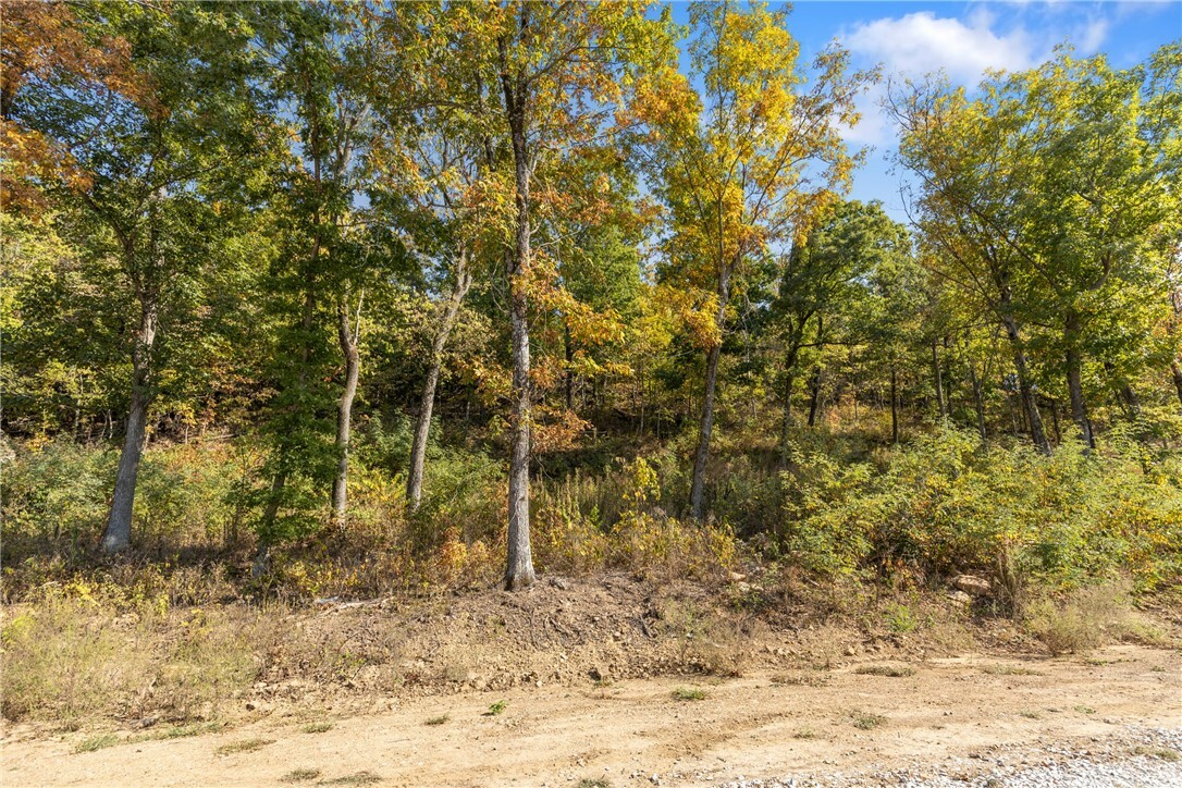 Property Photo:  Lot 8 Peaceful Place  AR 72601 