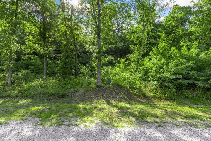 Property Photo: Lot 8 Peaceful Place AR 72601