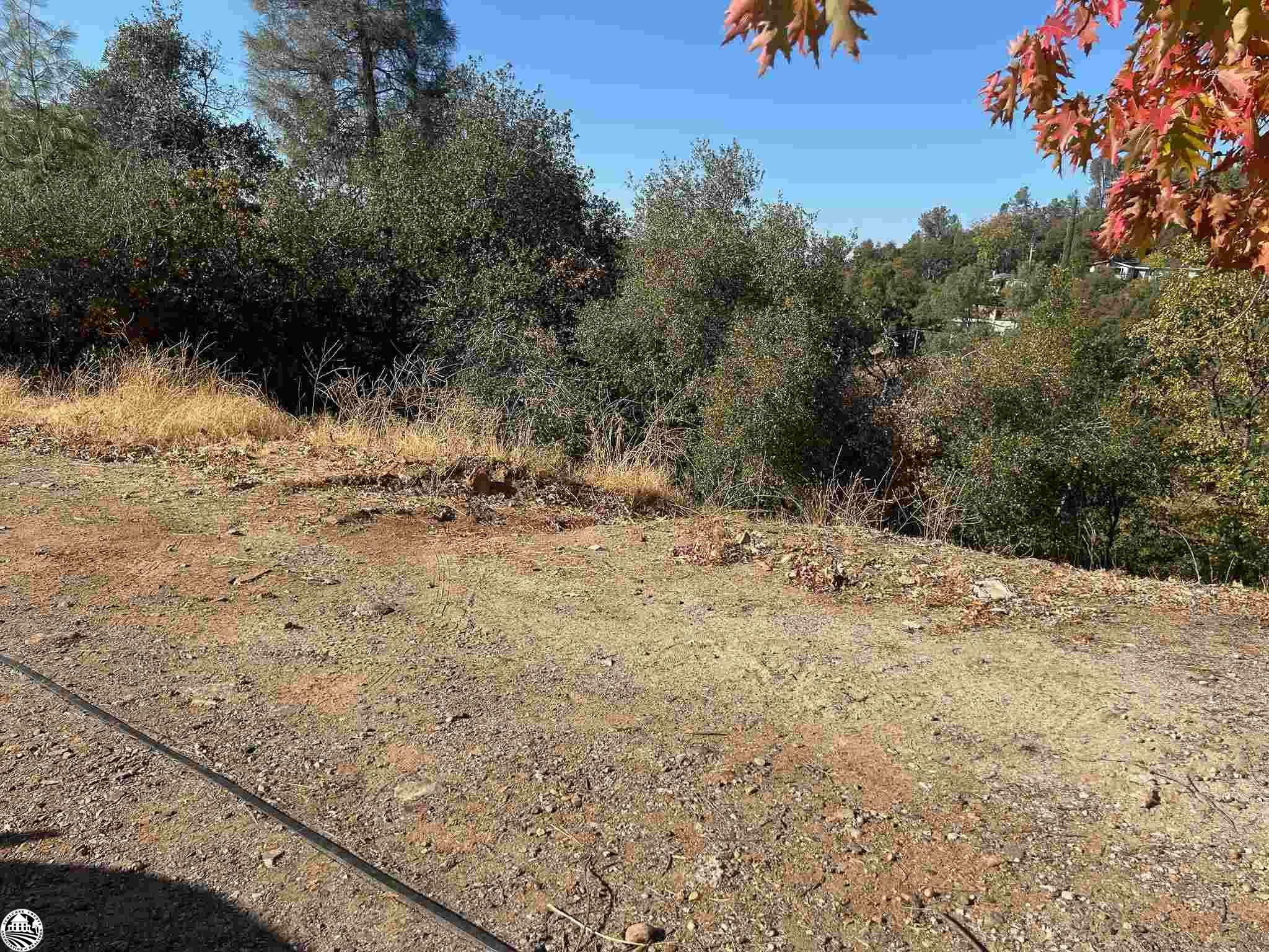 Property Photo:  524 Morningstar Drive  CA 95370 