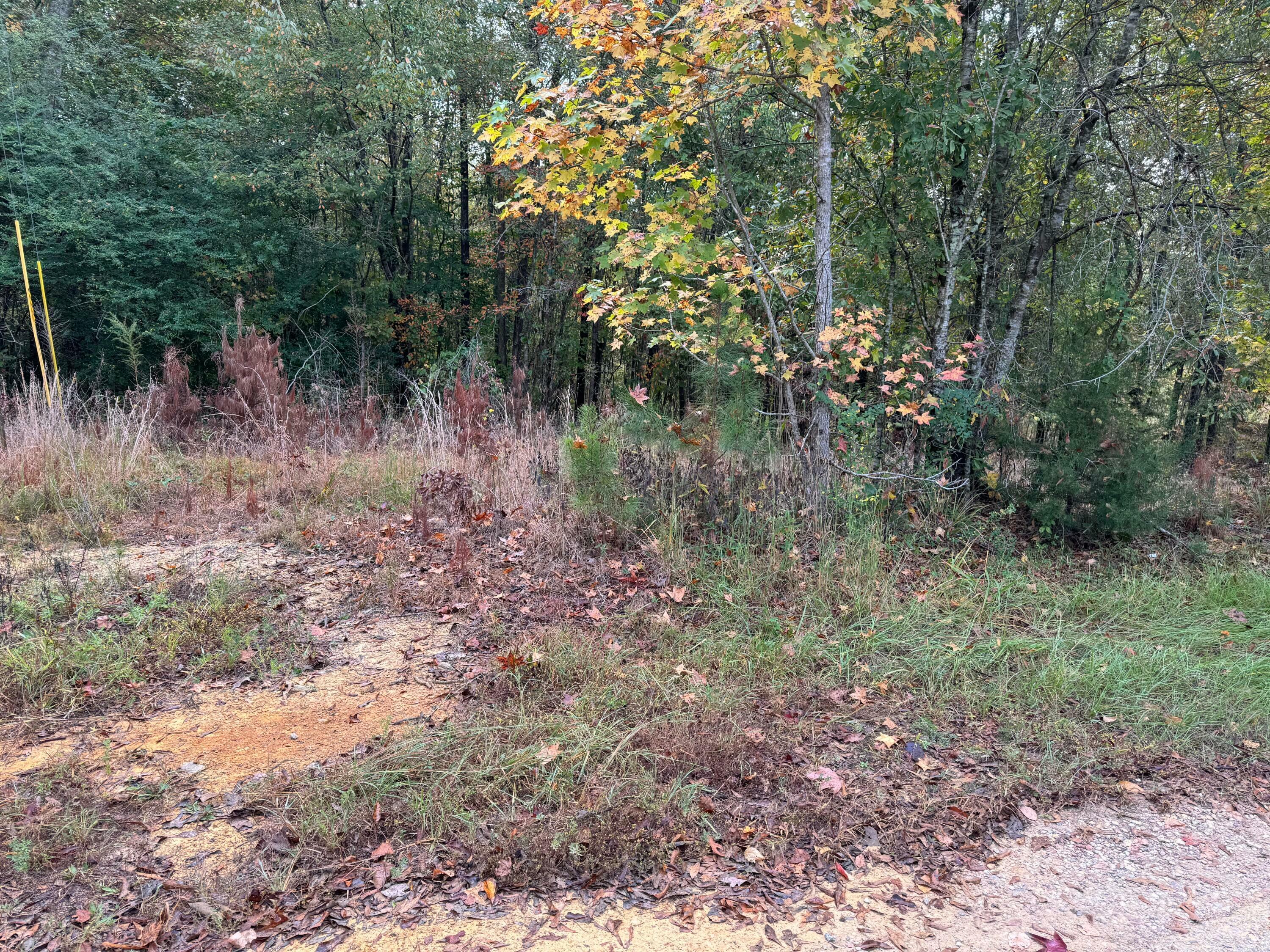 Property Photo:  Lot 7 Evans Cir  AL 35501 