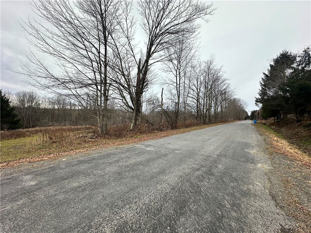 Property Photo: Kostenko Sutton Road NY 13801