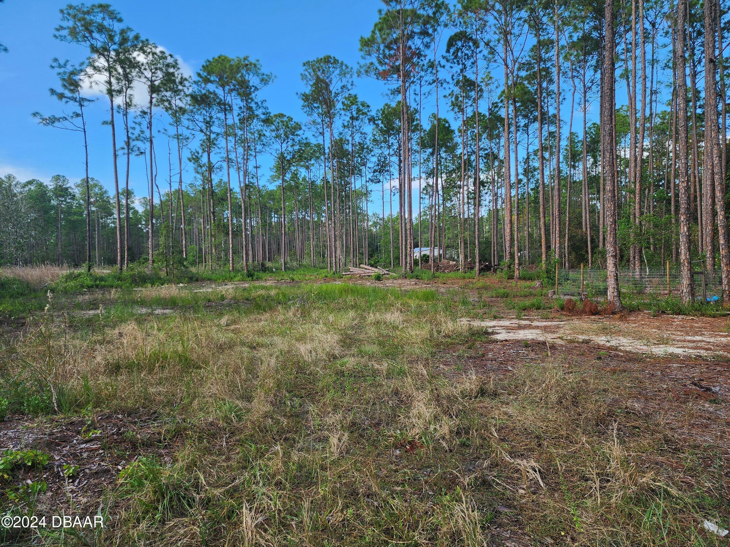 Property Photo:  5356 Nutwood Avenue  FL 32110 