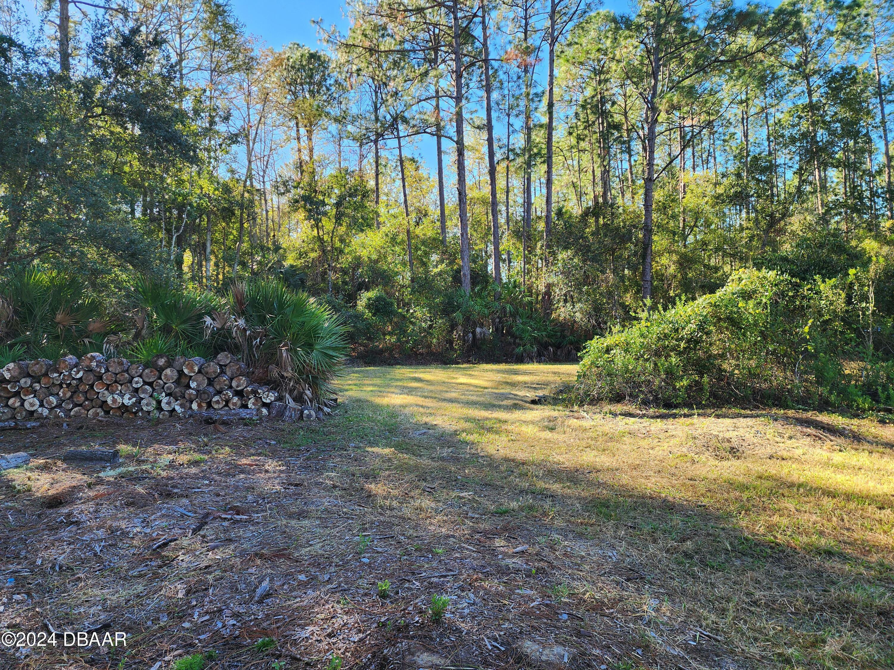 Property Photo:  5356 Nutwood Avenue  FL 32110 