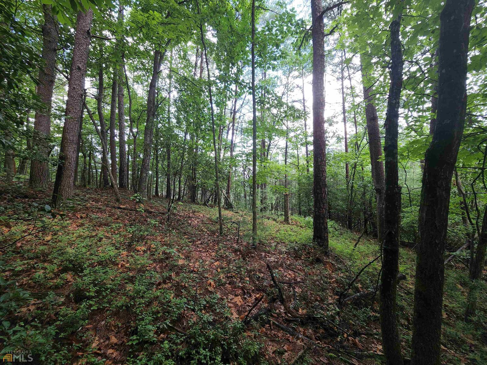 Property Photo: Lot 107 Rosen Strasse GA 30545