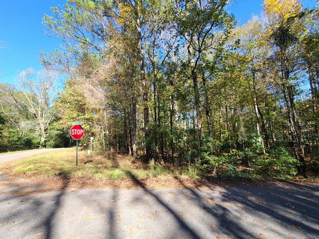 Property Photo:  Lot 3B Cherry Drive  GA 31831 