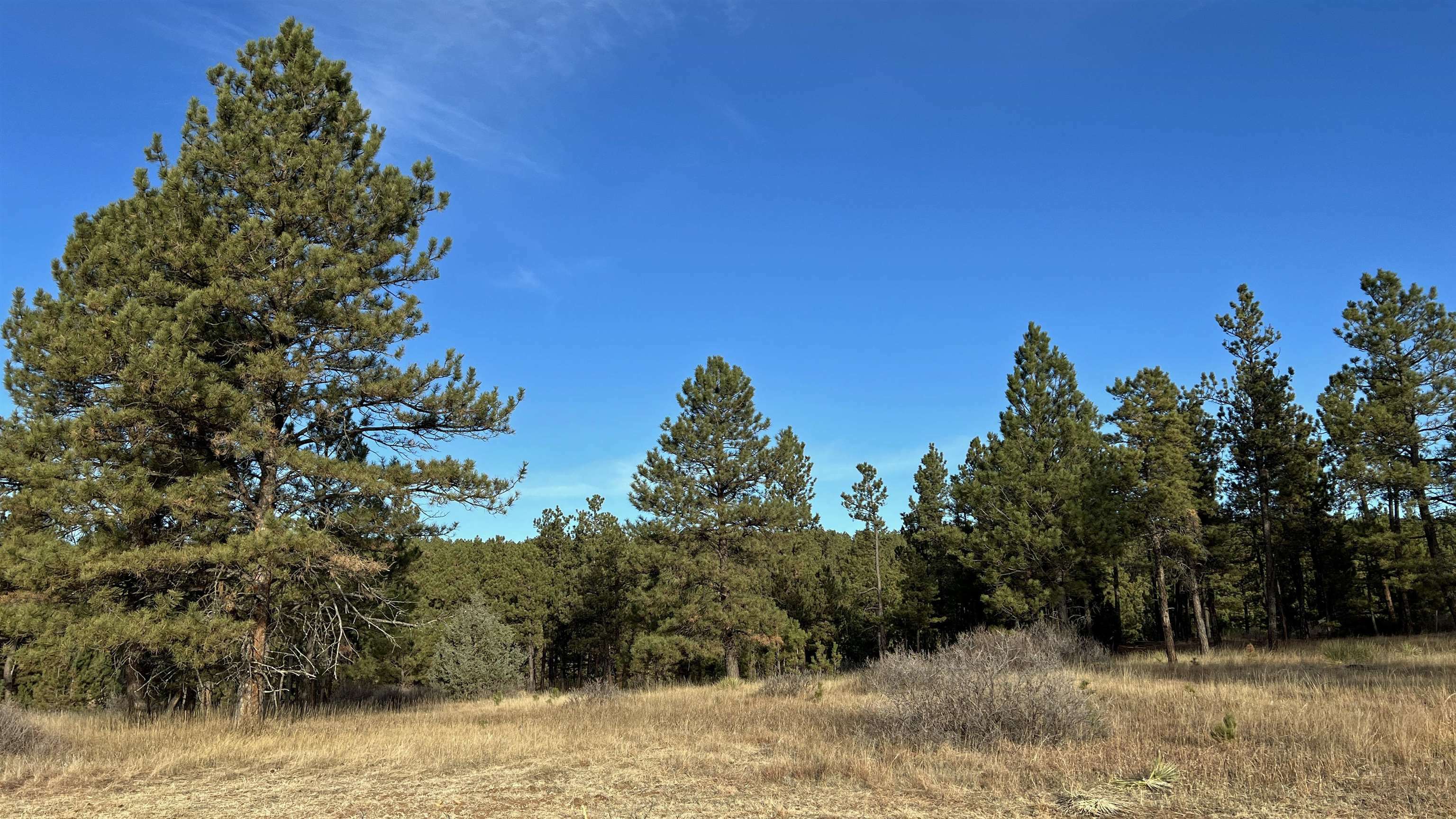 Property Photo:  Lot 4 Westwind Drive  SD 57747 