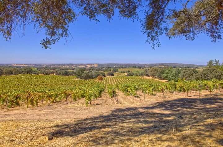Property Photo:  0 Shenandoah School Road  CA 95669 