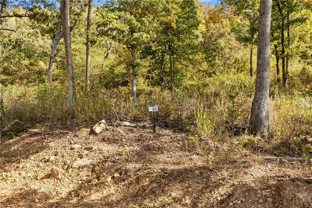 Property Photo:  Lot 51 Restore Ridge  AR 72601 