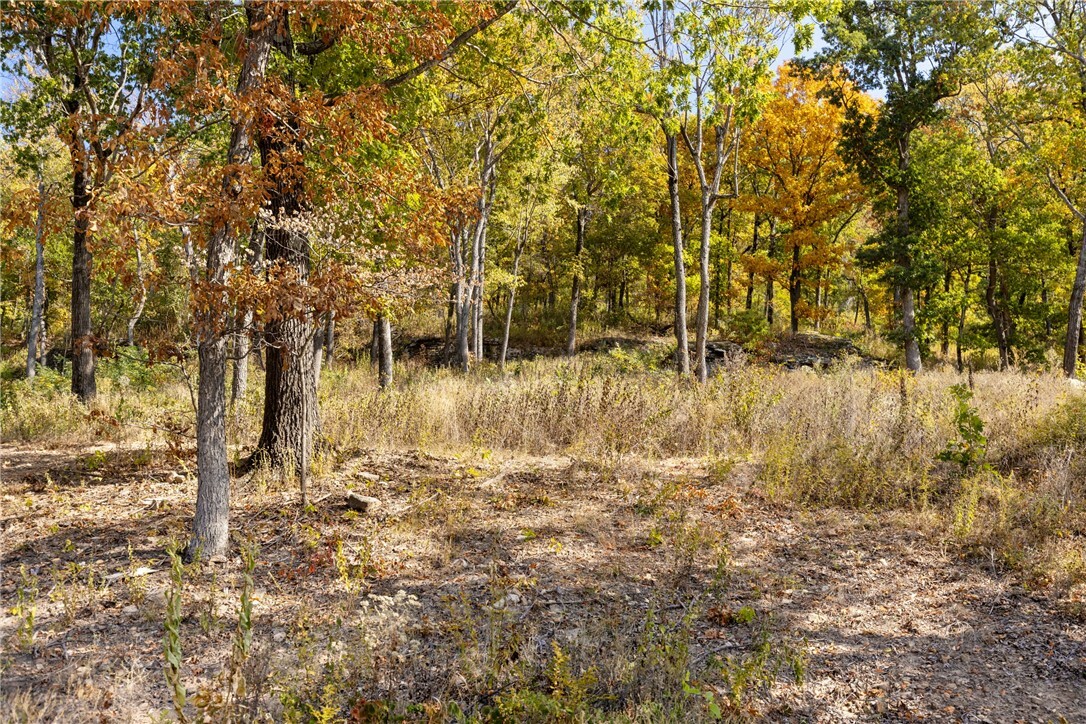 Property Photo:  Lot 54 Restore Ridge  AR 72601 