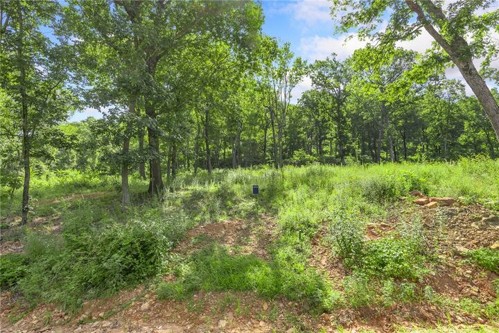 Property Photo: Lot 54 Restore Ridge AR 72601
