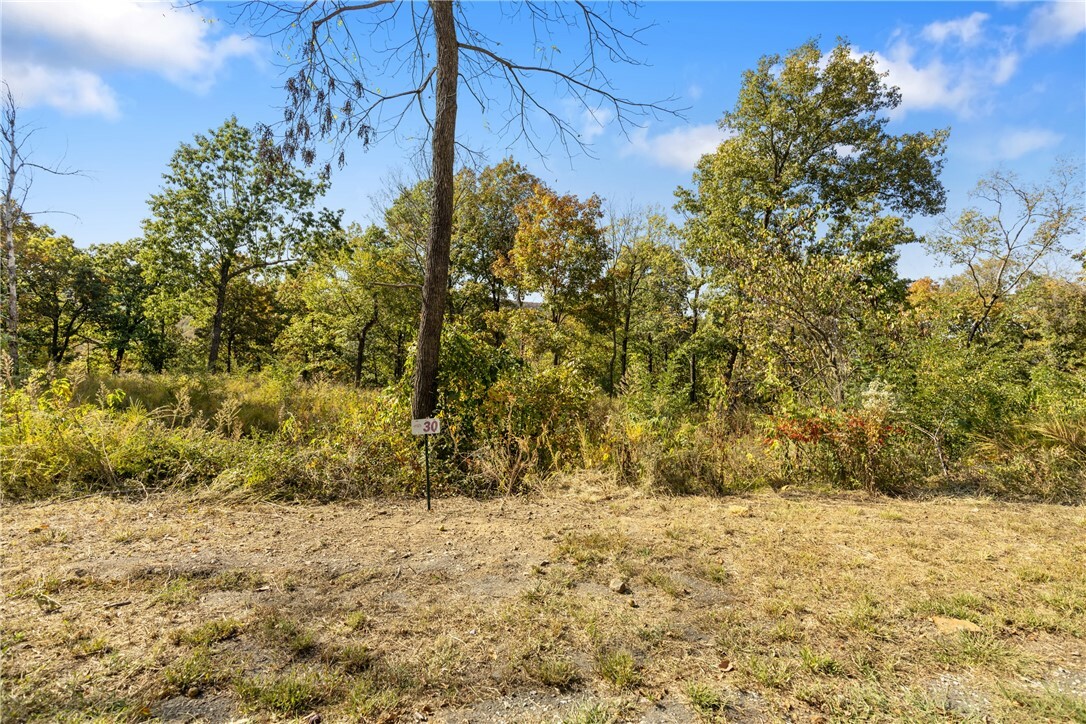 Property Photo:  Lot 30 Peaceful Place  AR 72601 