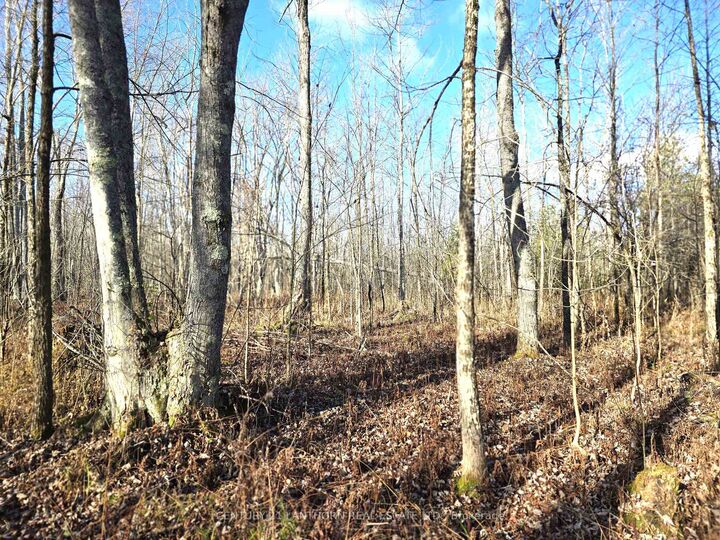 Property Photo:  0 Enright Road  ON K0K 3A0 