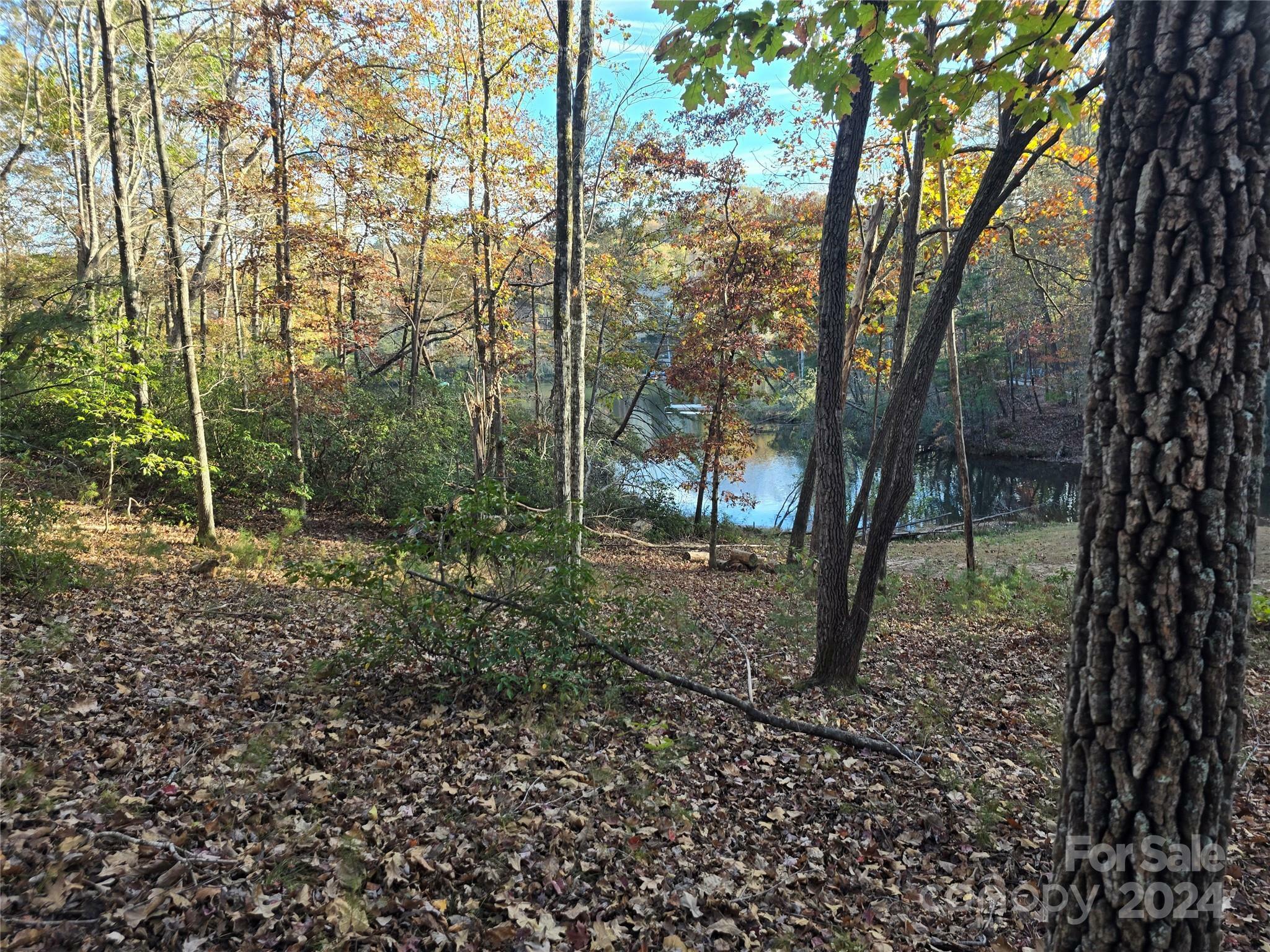 Lot 88 Woodland Circle  Lake Lure NC 28746 photo