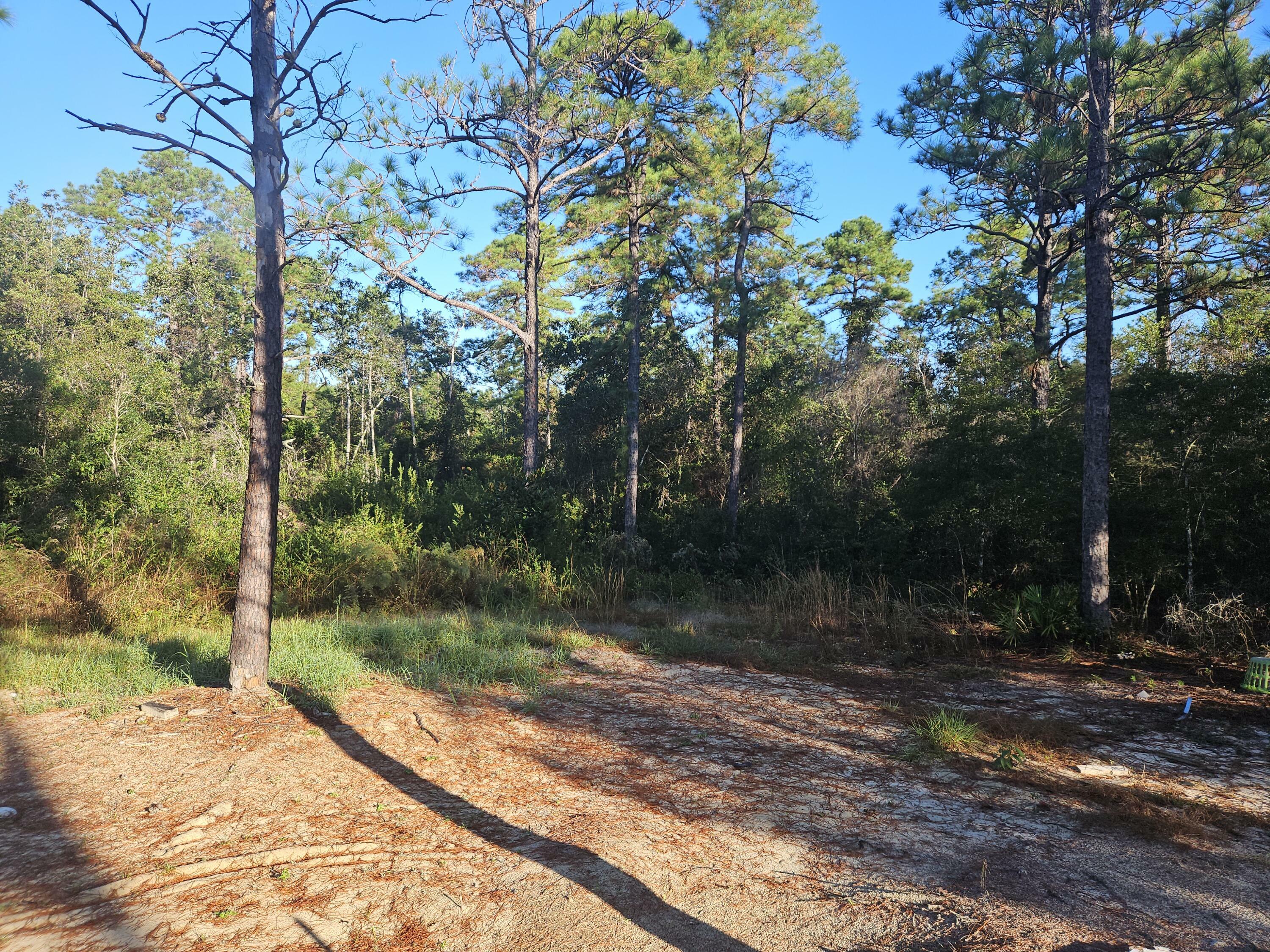 Property Photo:  225 E White Rose Street  FL 32433 