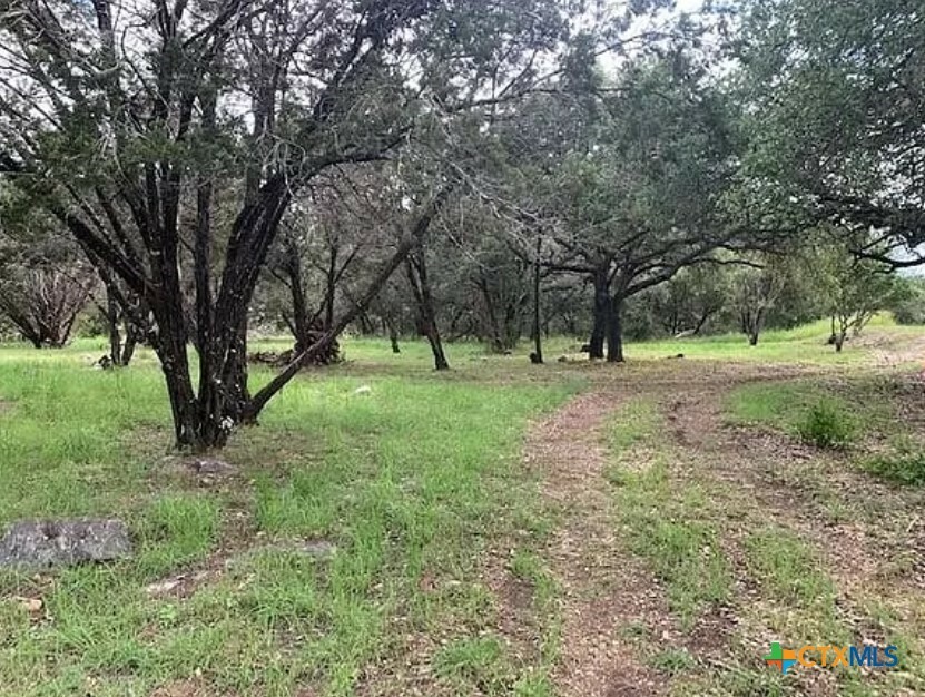 Property Photo:  Tbd Pinkerton Loop  TX 78657 