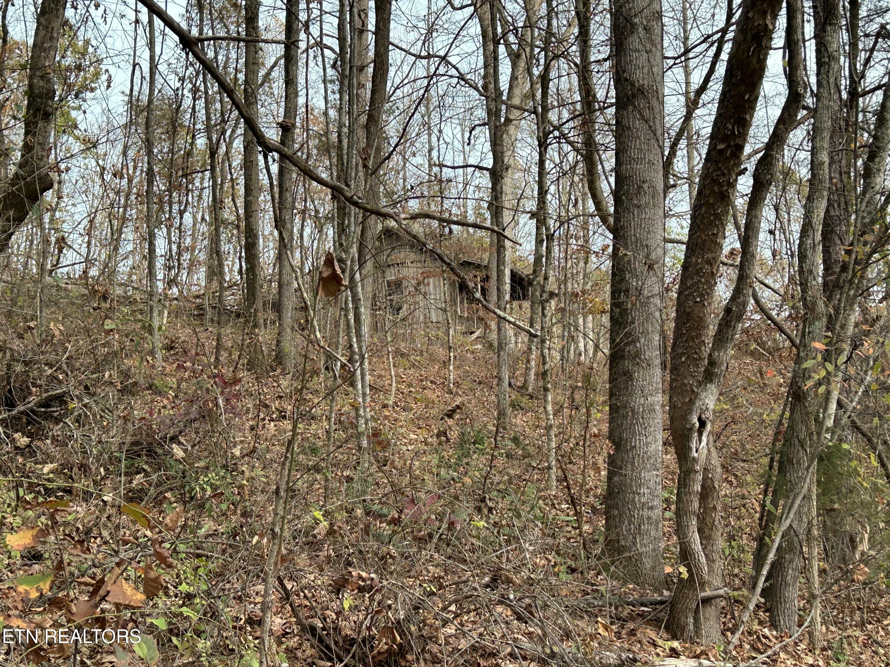 Property Photo:  Ridge Crest Rd Rd  TN 37779 