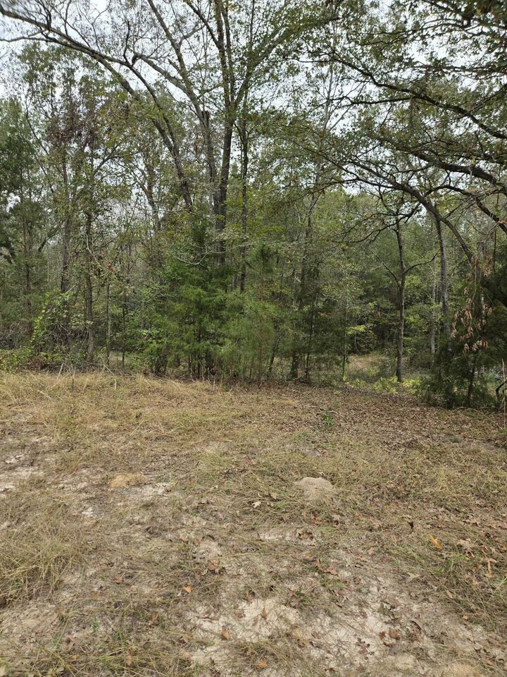 Property Photo: 0000 Cr 474 TX 75652