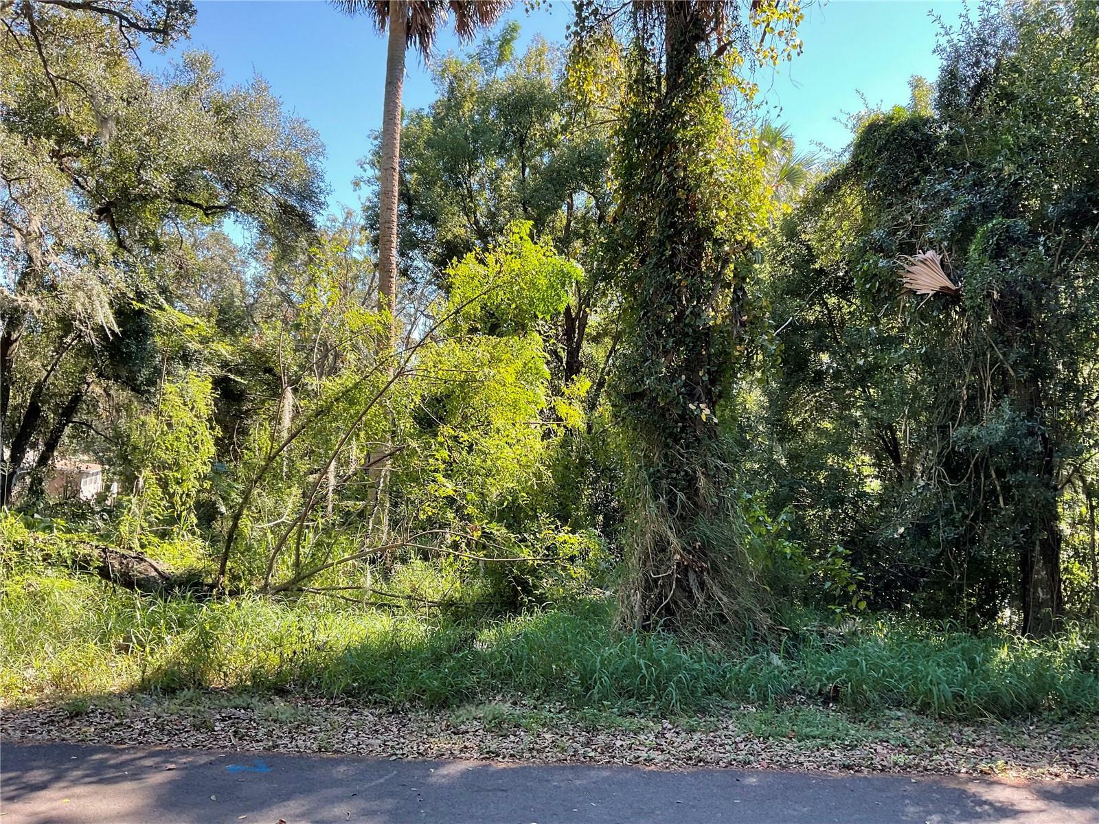 Property Photo: E Fruitland Street FL 34731