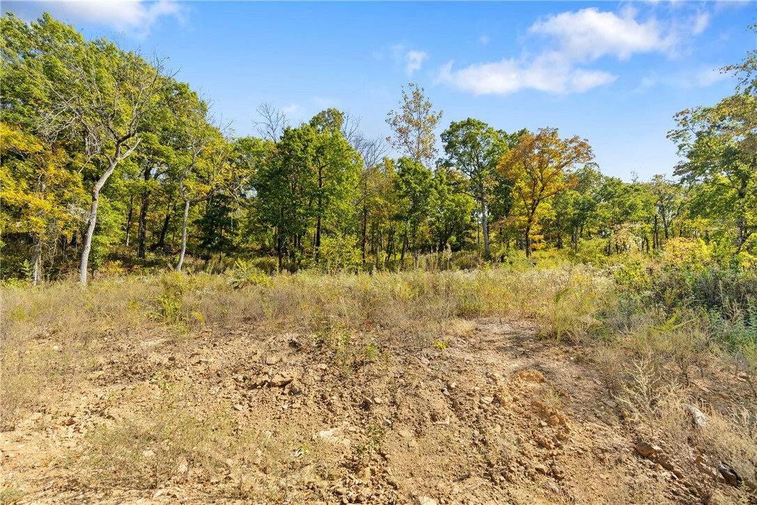 Property Photo:  Lot 57 Restore Ridge  AR 72601 