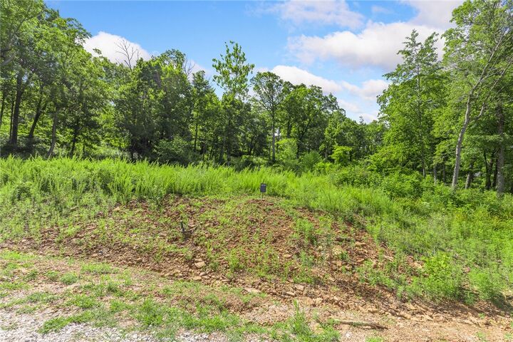 Property Photo: Lot 57 Restore Ridge AR 72601