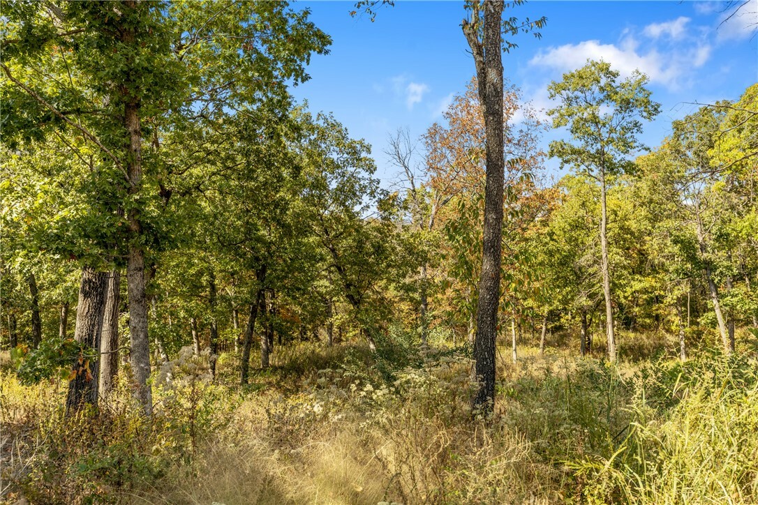 Property Photo:  Lot 76 Restore Ridge  AR 72601 