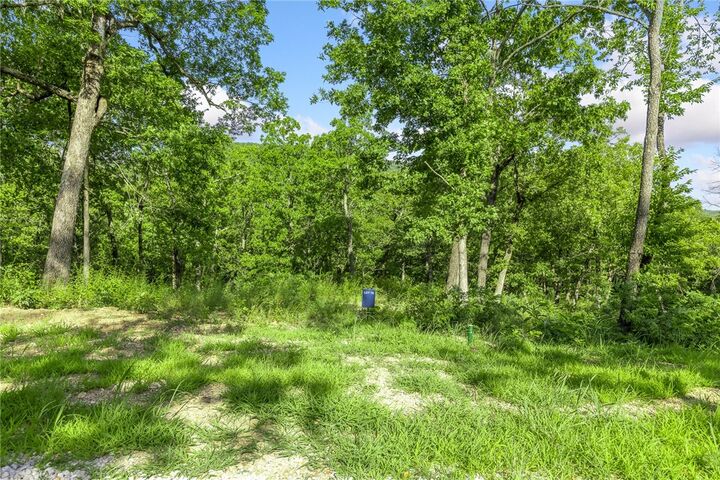 Property Photo: Lot 76 Restore Ridge AR 72601