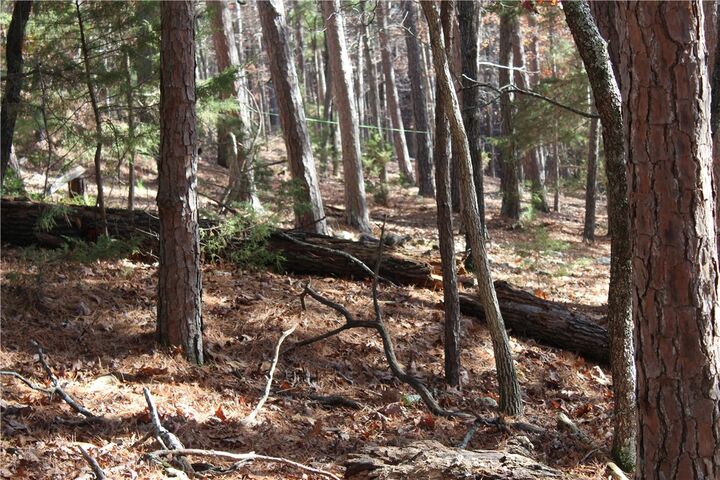 5 Cross Street  Eureka Springs AR 72632 photo