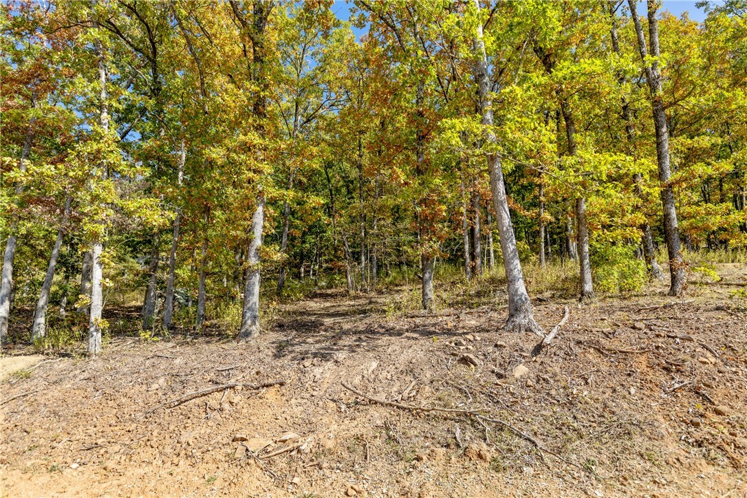 Property Photo:  Lot 64 Restore Ridge  AR 72601 