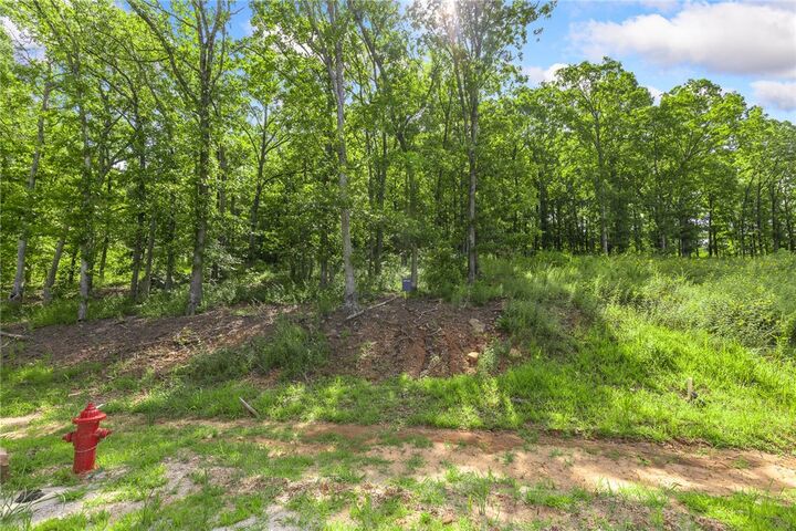 Property Photo: Lot 64 Restore Ridge AR 72601