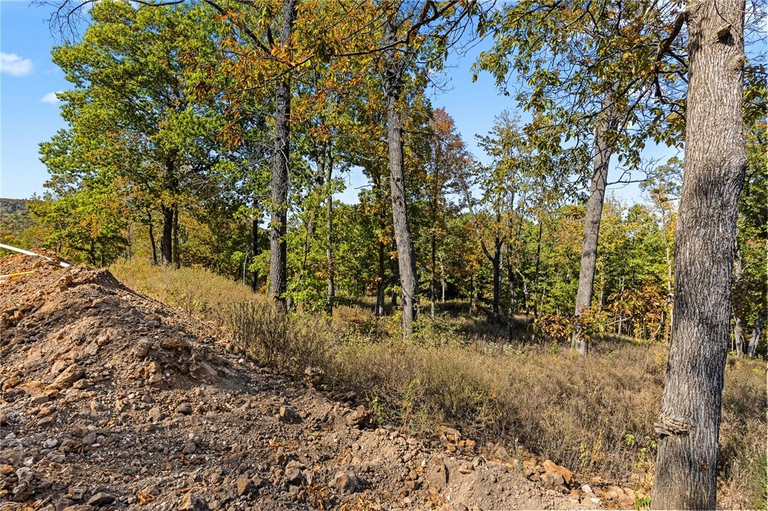 Property Photo:  Lot 88 Restore Circle  AR 72601 