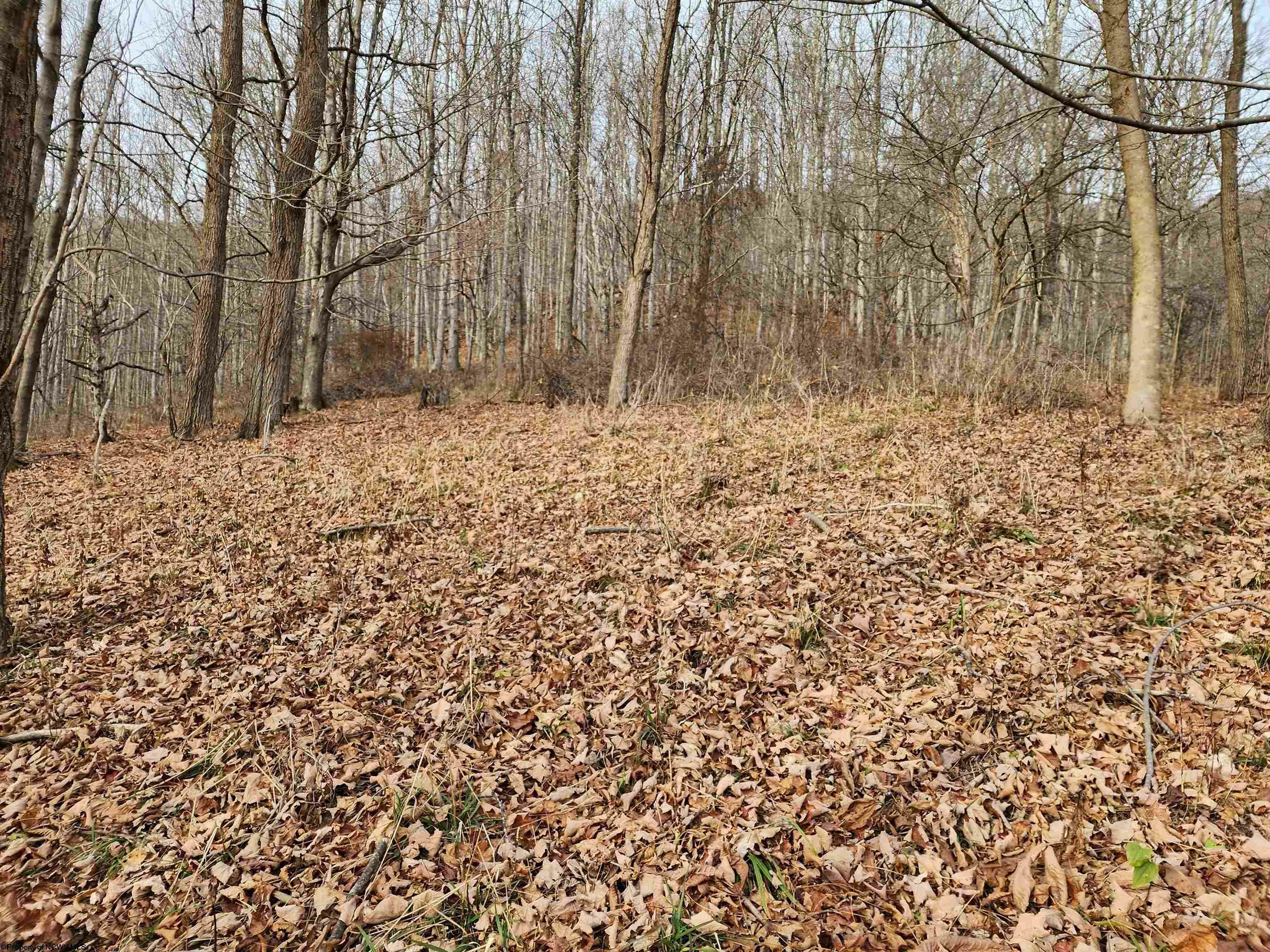 Lot 4 High Mountain Road  Harman WV 26270 photo