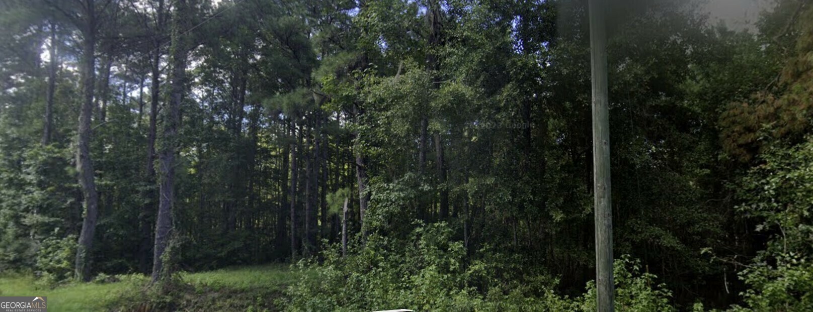 Property Photo:  Tract 1 Old Gress Island Road  GA 31320 