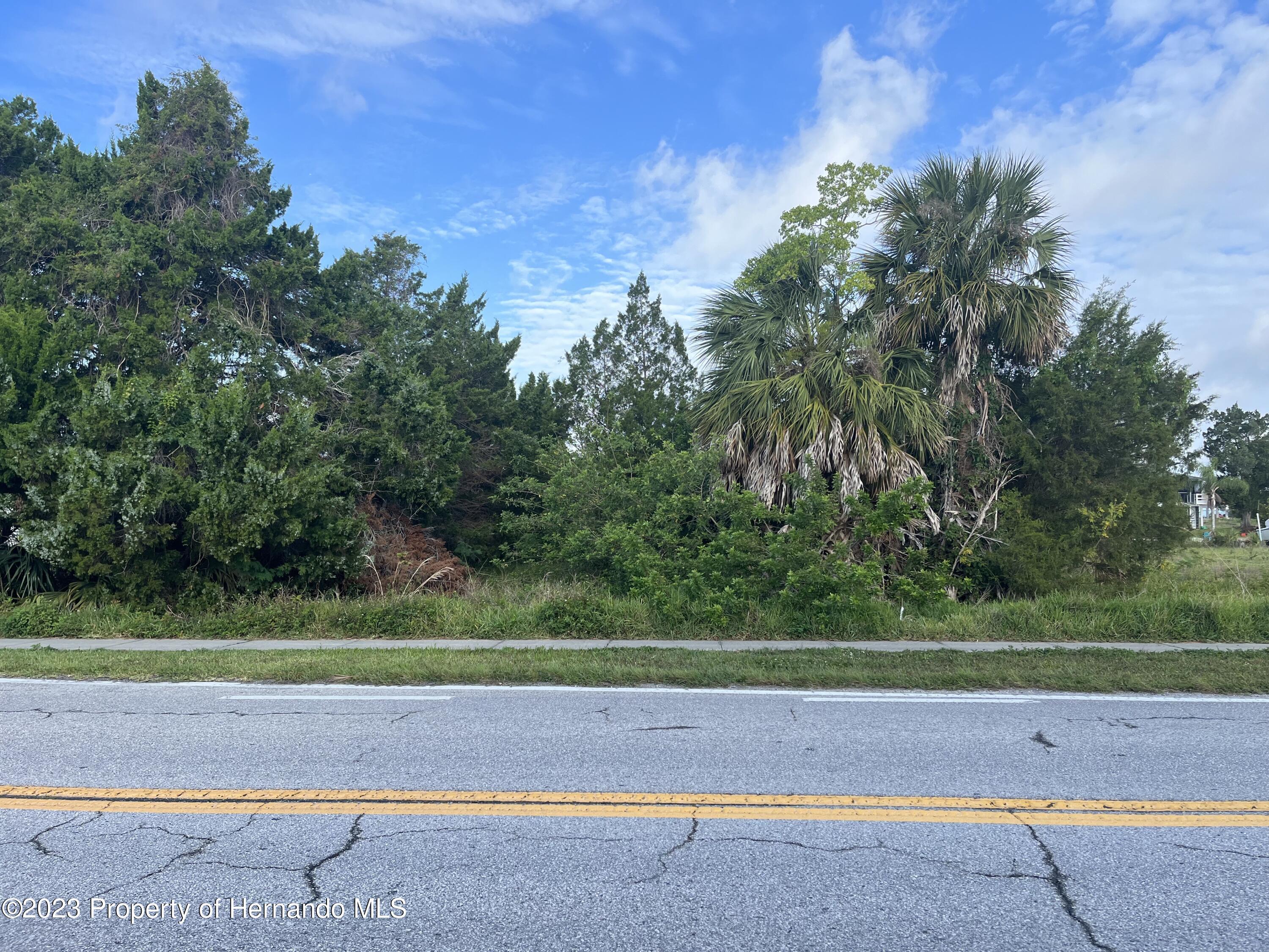 Property Photo:  3329 Shoal Line Boulevard  FL 34607 