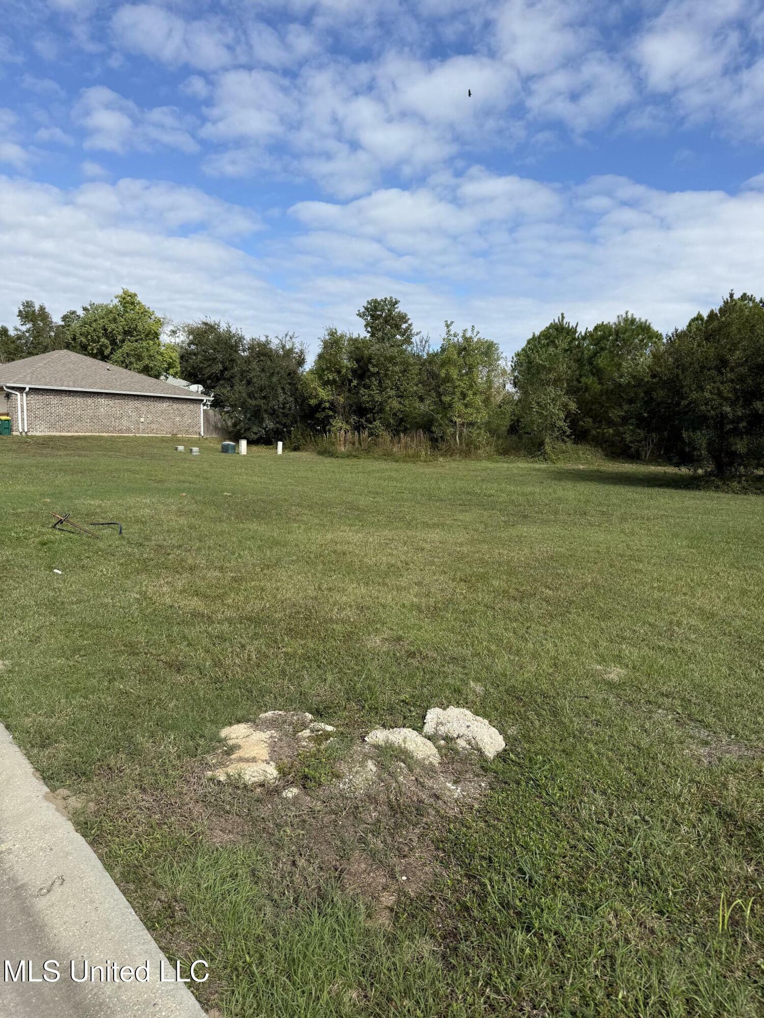 Property Photo:  0 Oak Ally Lane  MS 39560 