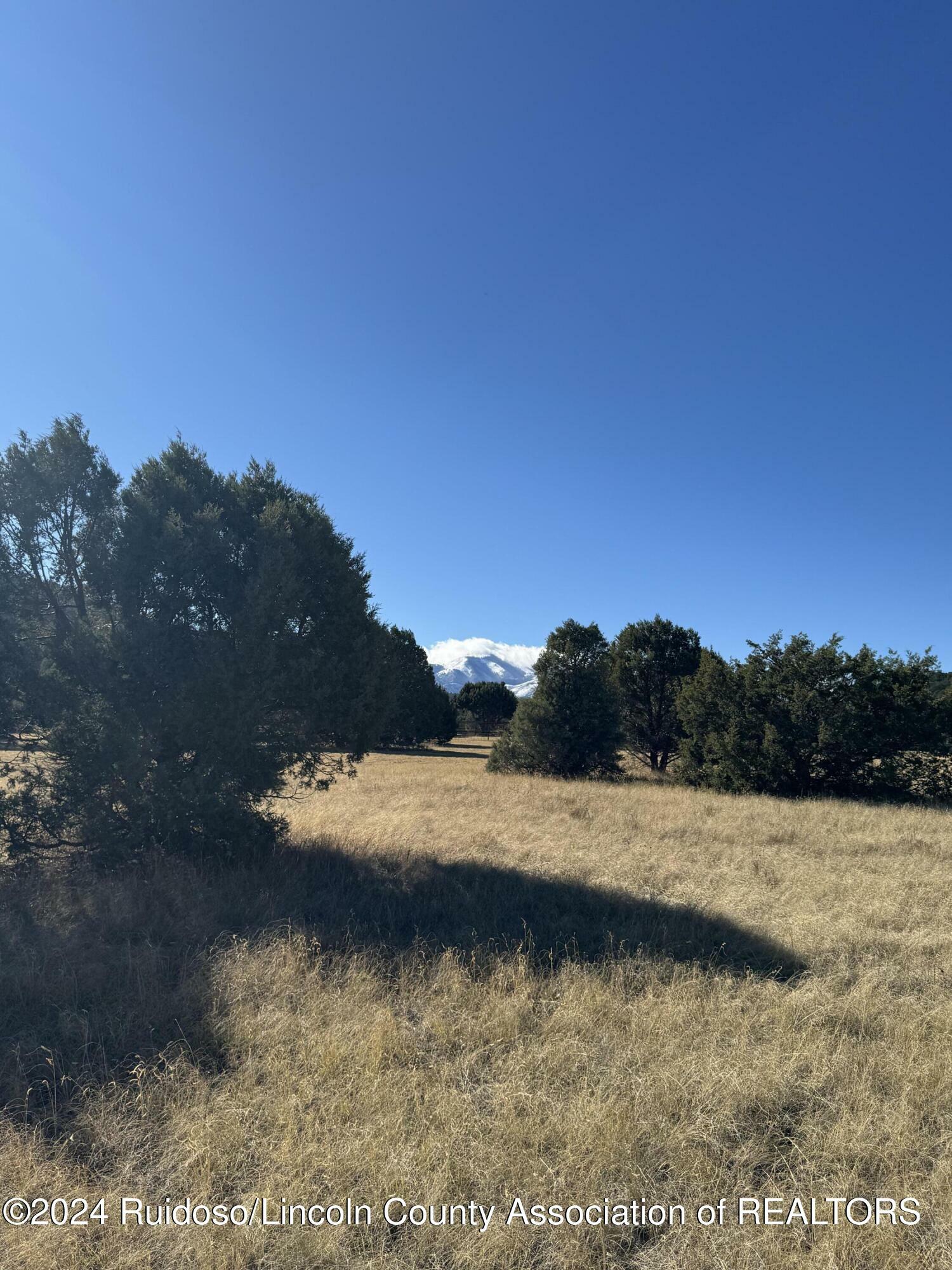 Property Photo: L183 Saddleback Road NM 88312