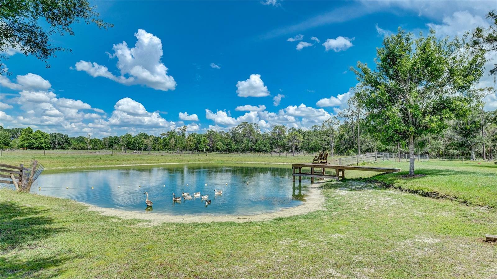 Property Photo:  560 Oakford Road  FL 34240 