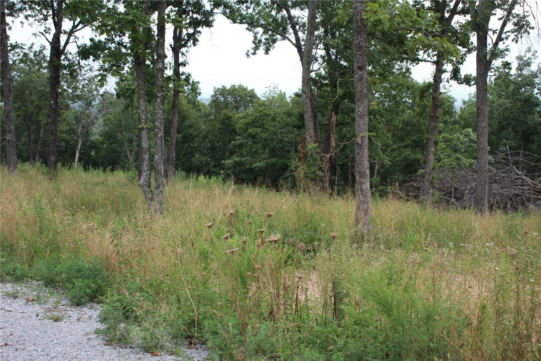 Property Photo:  Tract 2 Mc 5039  AR 72682 