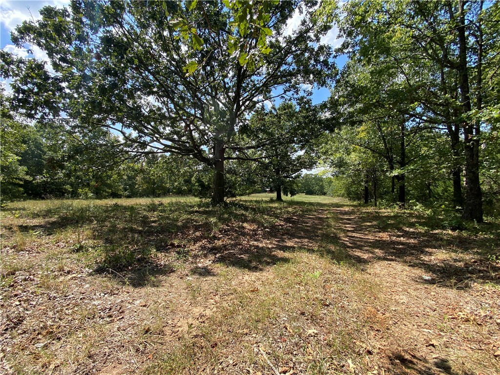 Property Photo:  000 County Road 939  AR 72616 