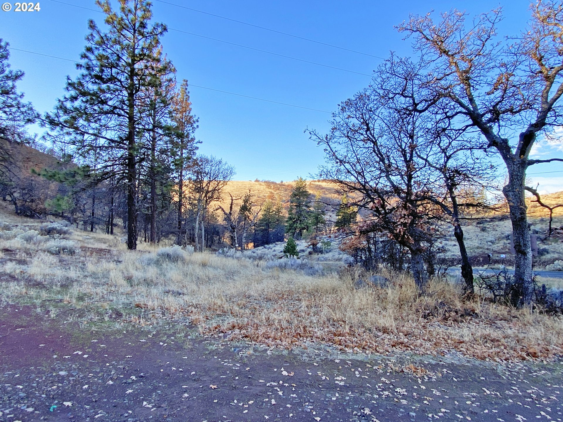 Property Photo:  295 Oak Flat Rd  WA 98620 