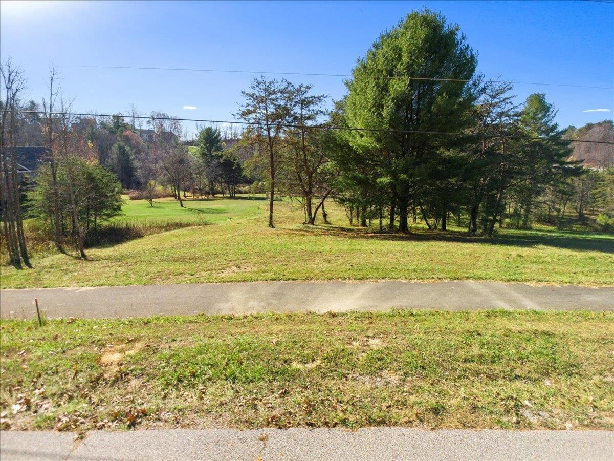 Property Photo:  Tbd Lot 2 Bishop Road  VA 24060 