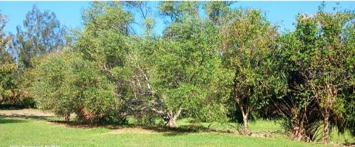 Property Photo: 6434 Garvey Drive FL 34652