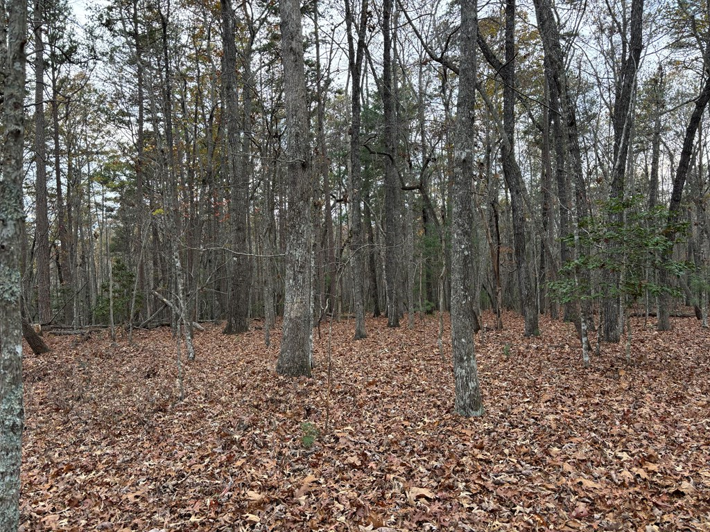 Property Photo:  3.5ac Liberty Hill Road  GA 30560 