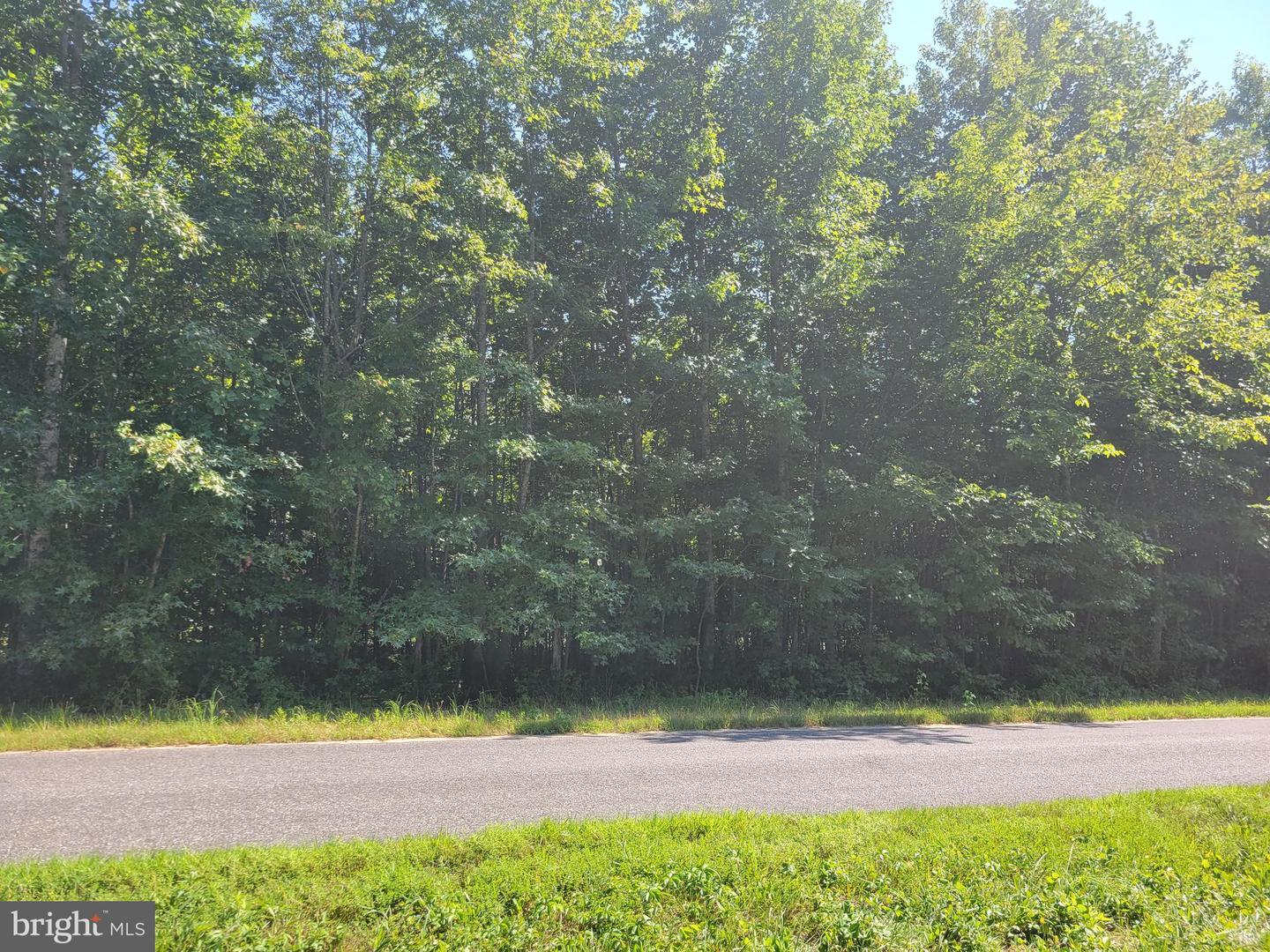0 Clarkes Store Lot 5-B Road  Caret VA 22436 photo