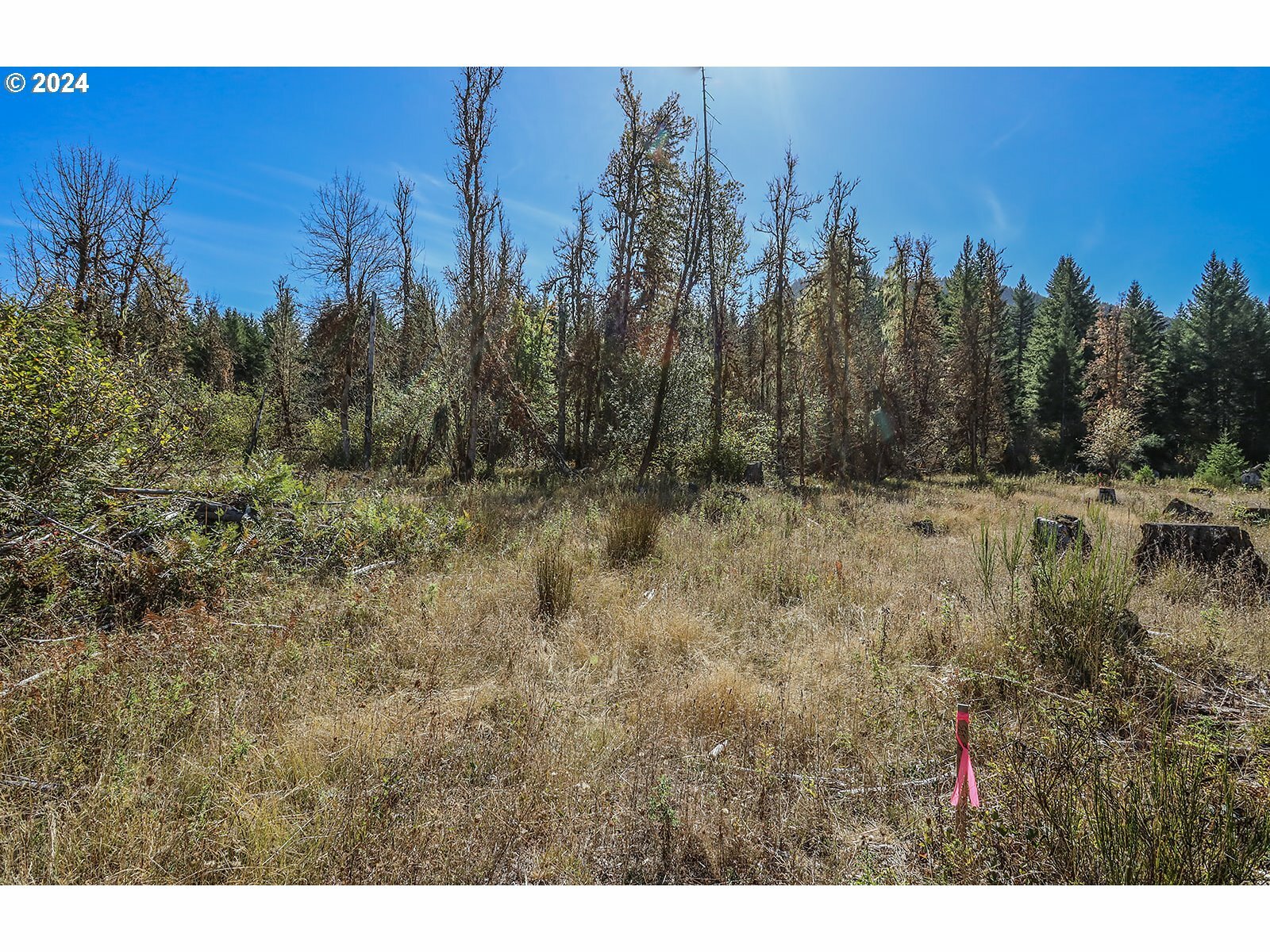 Property Photo:  10634 Wind River Hwy  WA 98610 